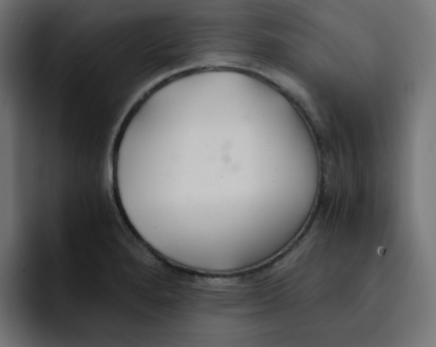 X0000092021280200710041037