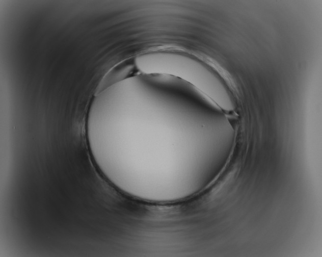 X0000092021281200710041037