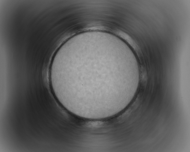 X0000092021282200710041037