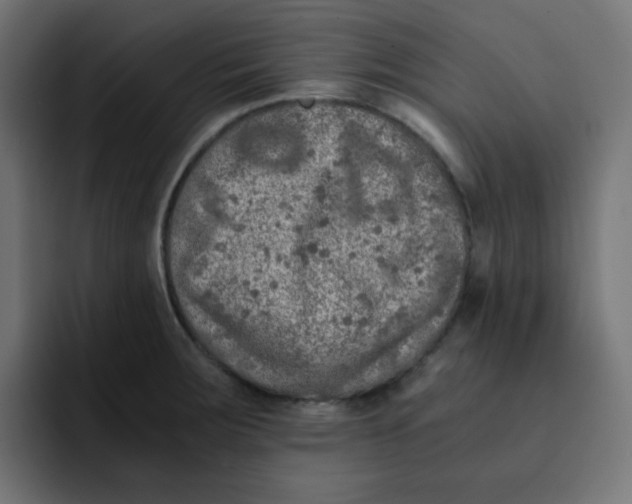 X0000092021283200710041037