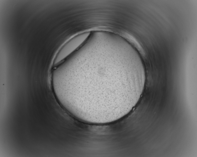 X0000092021284200710041037