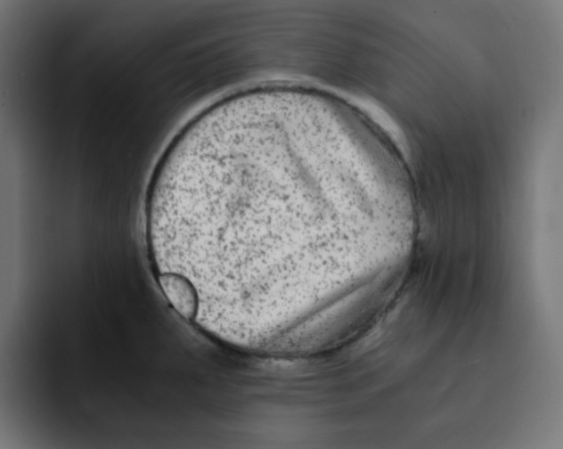 X0000092021287200710041037