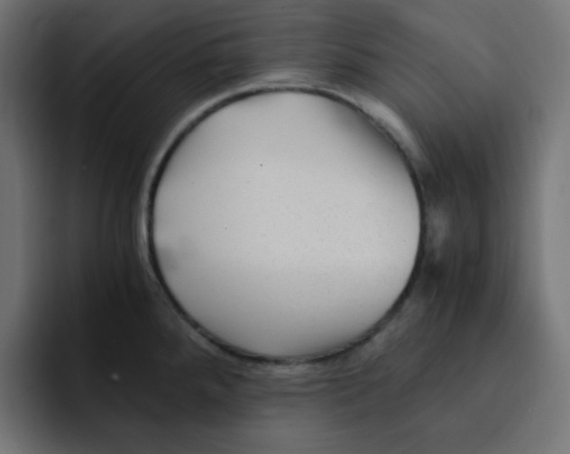 X0000092021288200710041037