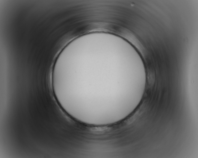 X0000092021290200710041037