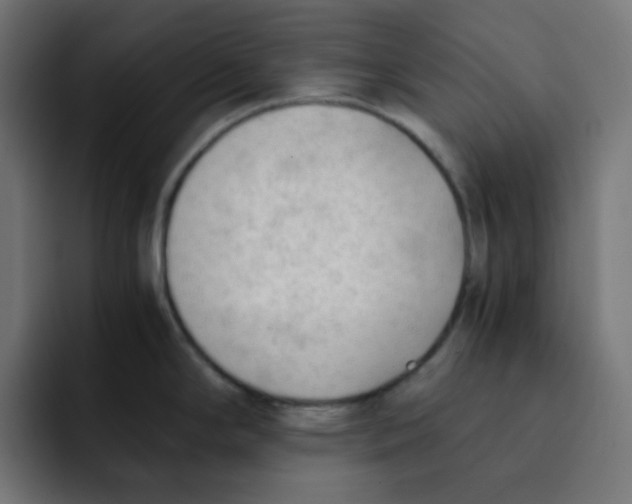 X0000092021294200710041037