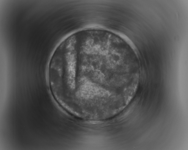 X0000092021295200710041037