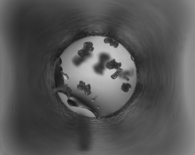X0000092021297200710041036