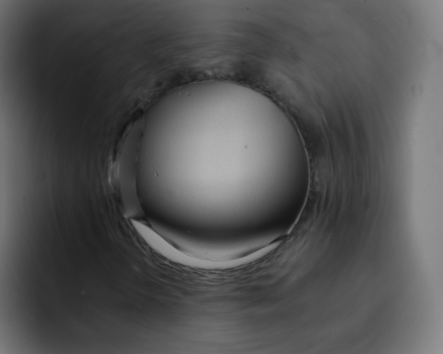 X0000092021298200710041036