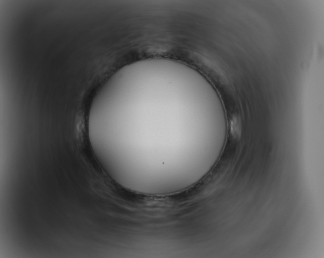 X0000092021299200710041036