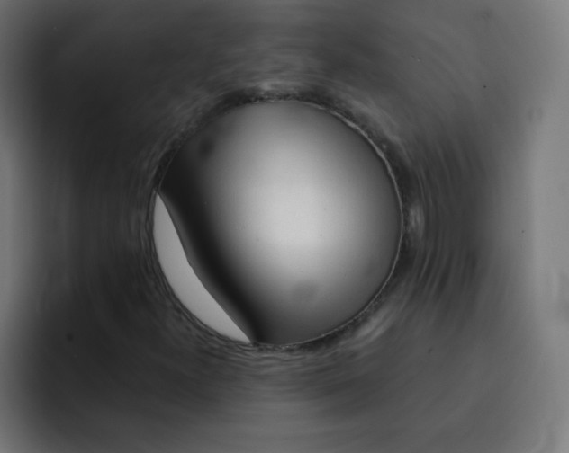 X0000092021300200710041036