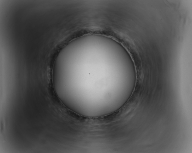 X0000092021301200710041036