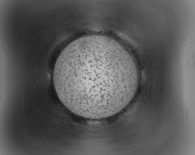 X0000092021302200710041036