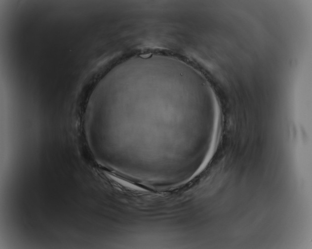 X0000092021303200710041036