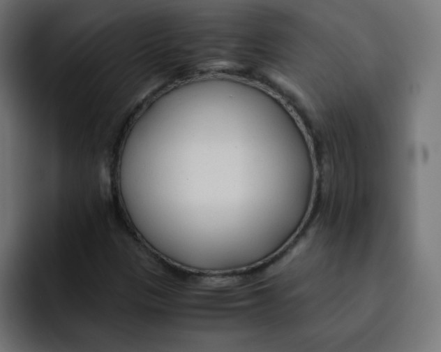 X0000092021305200710041036