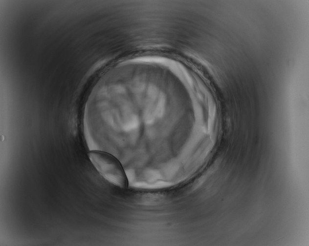 X0000092021306200710041036