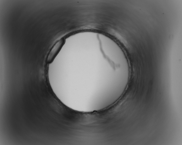 X0000092021308200710041036