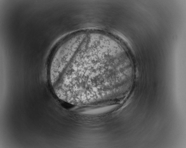 X0000092021310200710041036