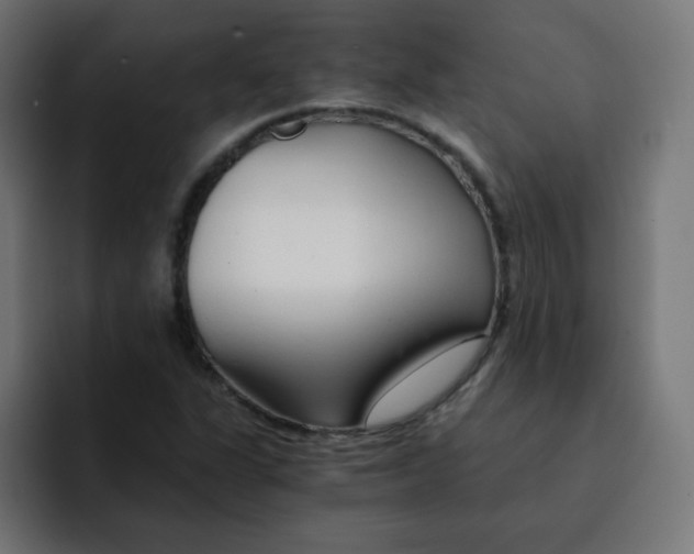 X0000092021311200710041036