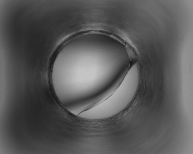 X0000092021312200710041036