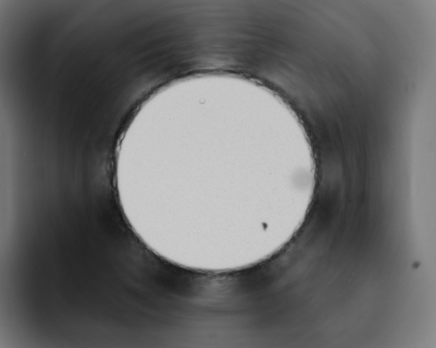 X0000092021314200710041036