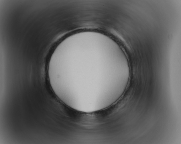 X0000092021315200710041036