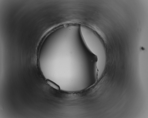 X0000092021316200710041036