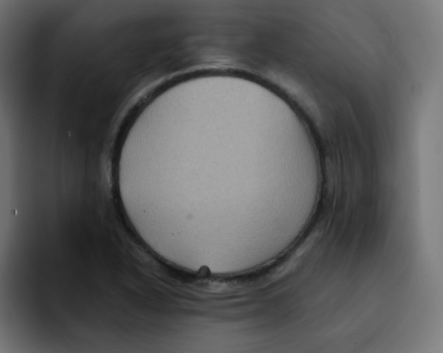 X0000092021318200710041036