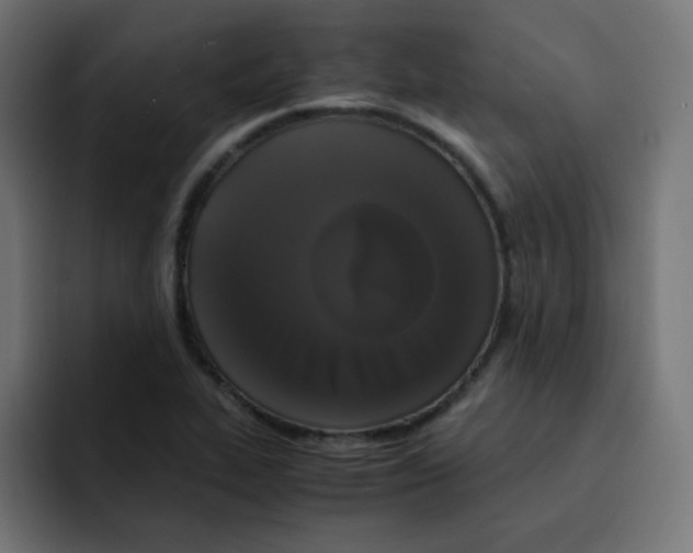 X0000092021319200710041036