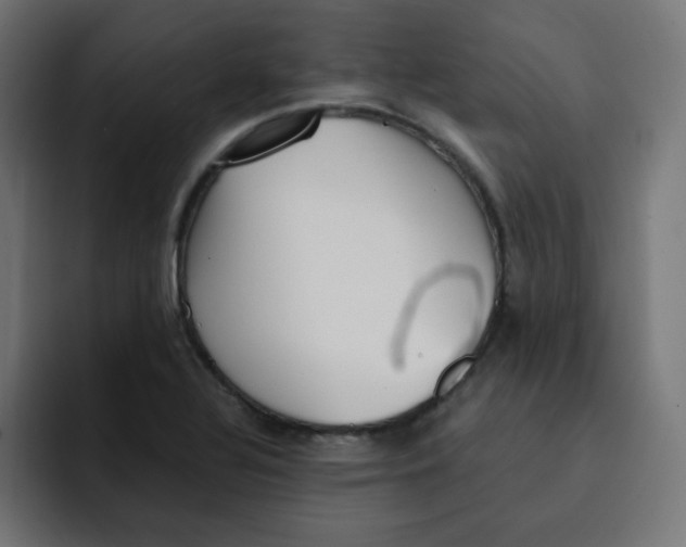 X0000092021320200710041036