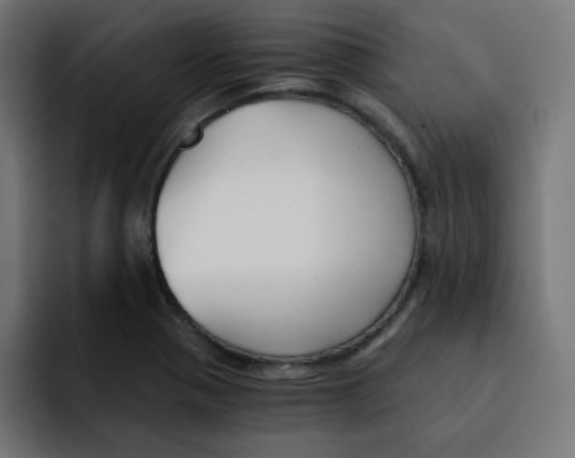 X0000092021321200710041036