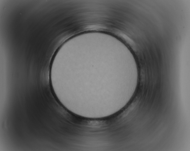 X0000092021322200710041036