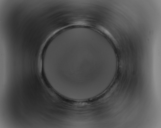 X0000092021323200710041036