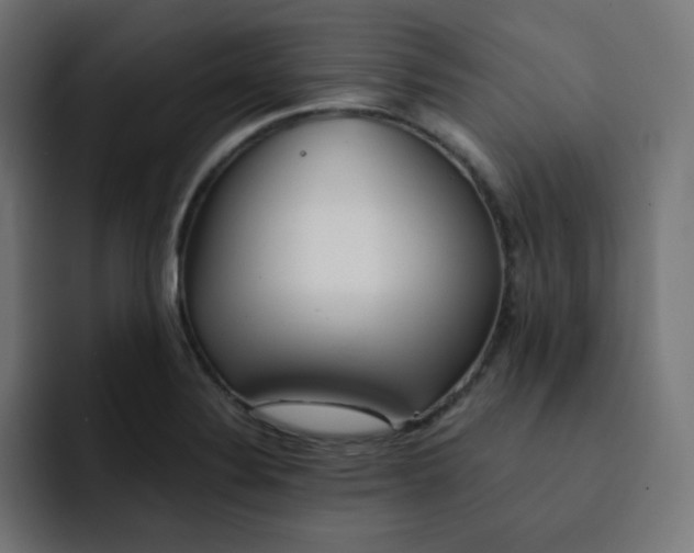 X0000092021324200710041036