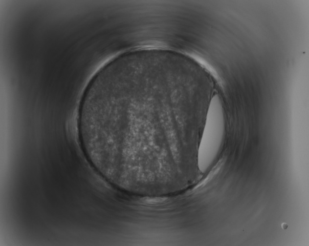 X0000092021325200710041036