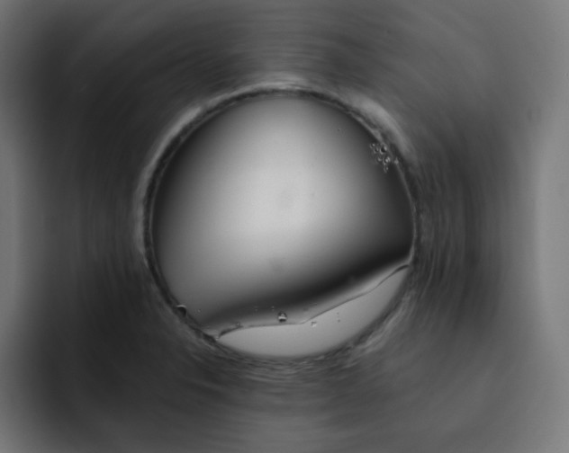 X0000092021326200710041036