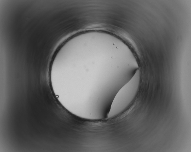 X0000092021328200710041036