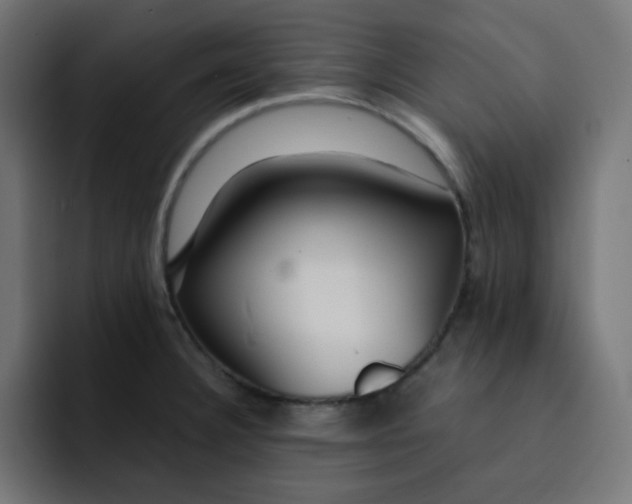 X0000092021332200710041036