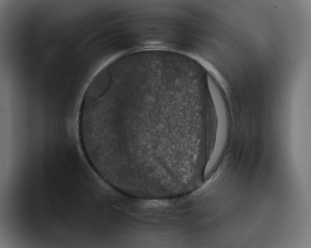 X0000092021333200710041036