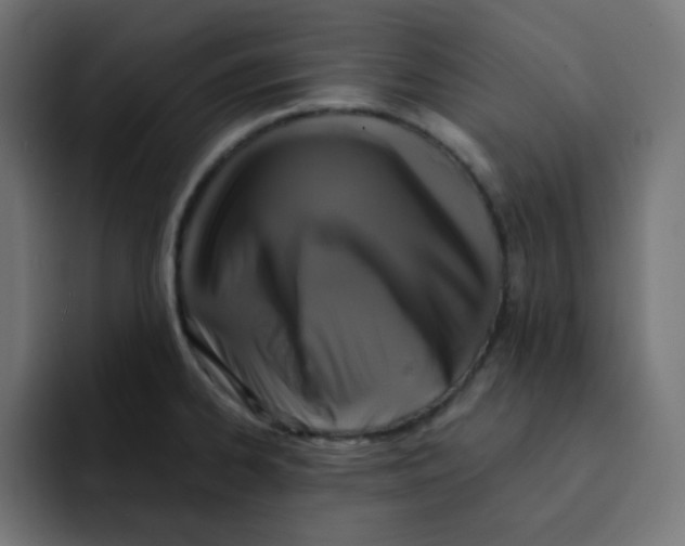 X0000092021334200710041037