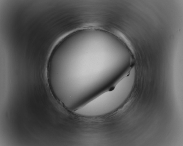 X0000092021336200710041037