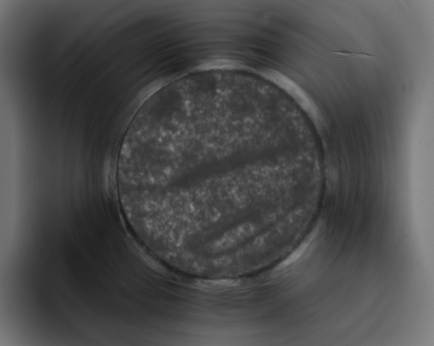 X0000092021337200710041037