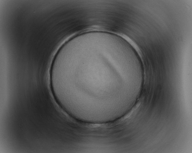 X0000092021341200710041037