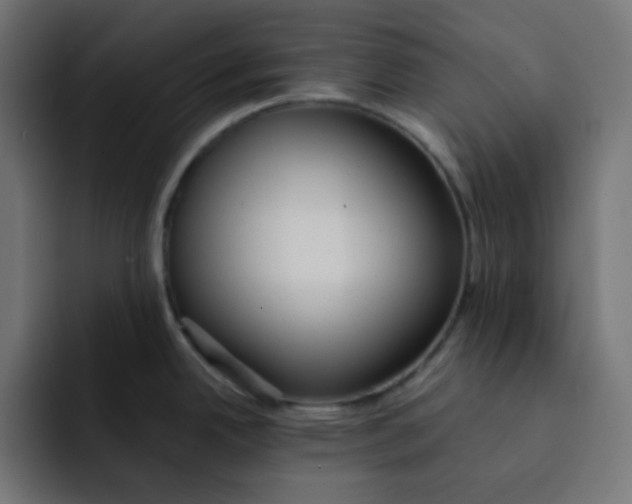 X0000092021342200710041037