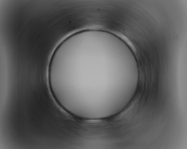 X0000092021343200710041037