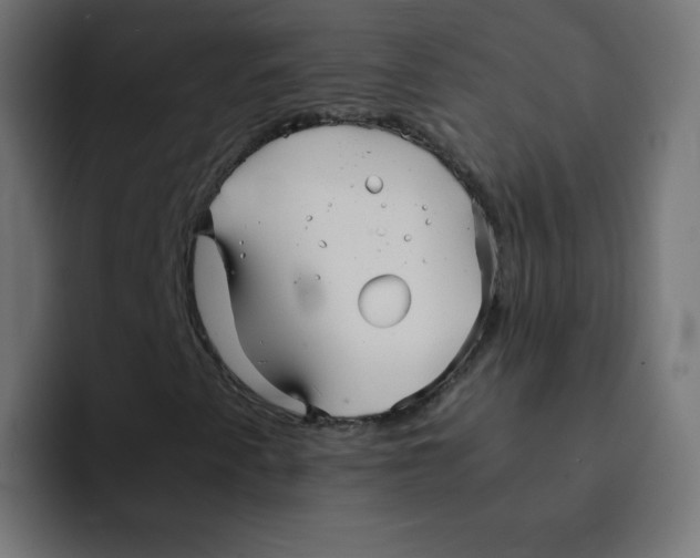 X0000092021345200710041036