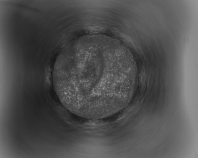 X0000092021346200710041036