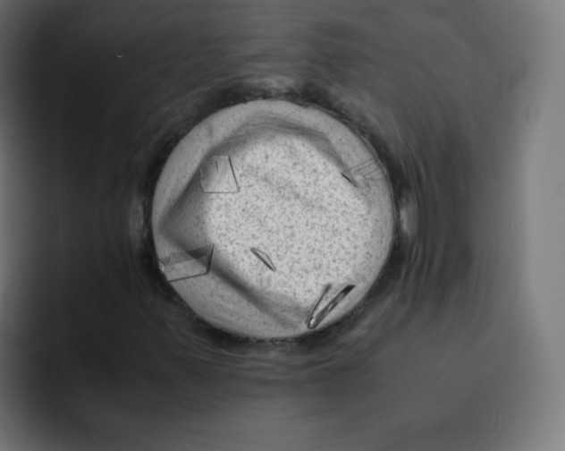 X0000092021347200710041036