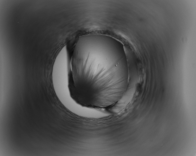 X0000092021348200710041036