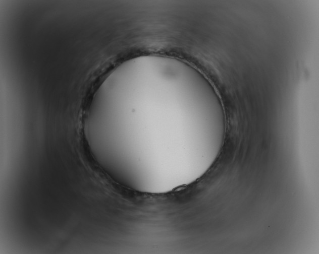 X0000092021349200710041036