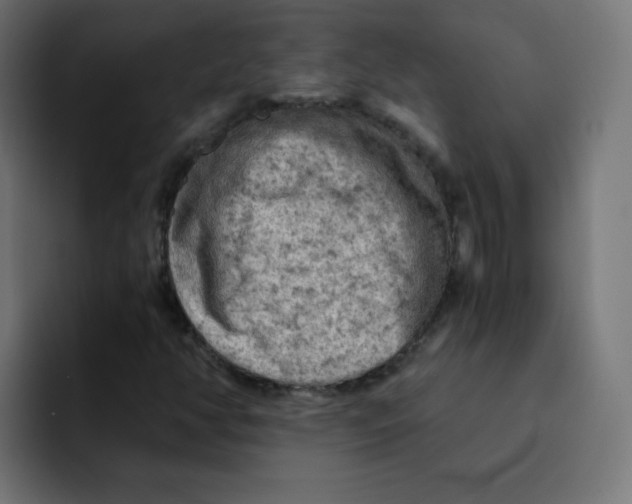 X0000092021350200710041036